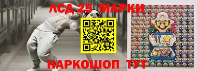 крисы Будённовск