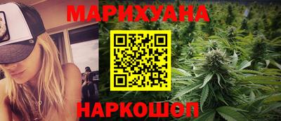 крисы Будённовск
