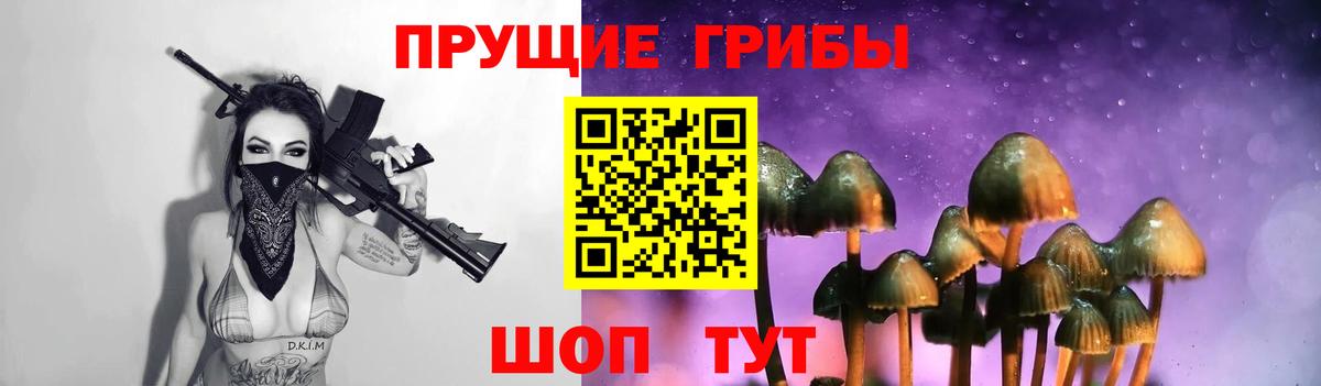 Кызыл  Псилоцибиновые грибы Psilocybine cubensis  Вход с VPN 